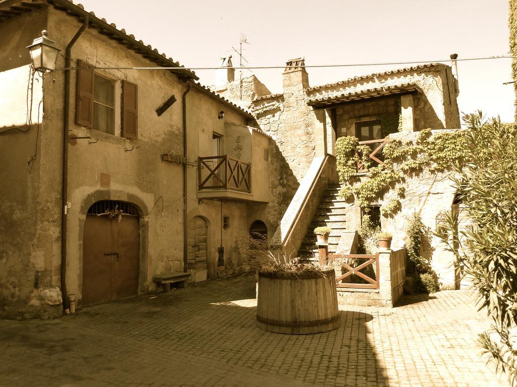 La Giuliva Di Pianiano Cellere Quarto foto