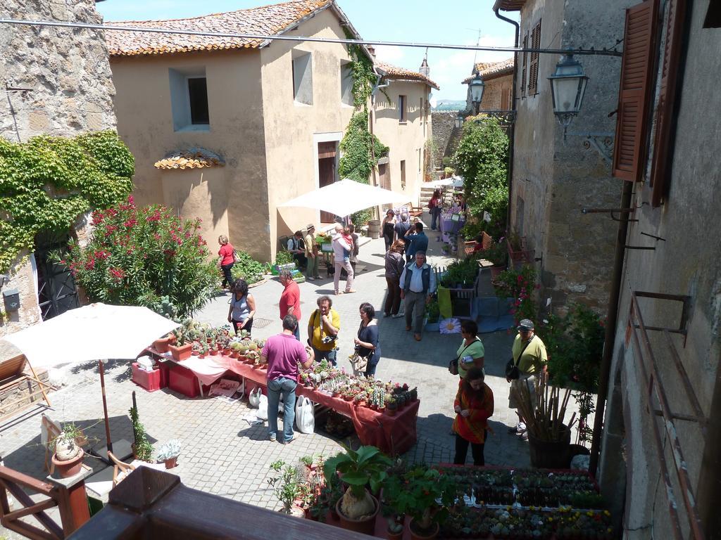 La Giuliva Di Pianiano Cellere Quarto foto
