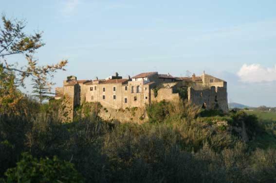 La Giuliva Di Pianiano Cellere Exterior foto